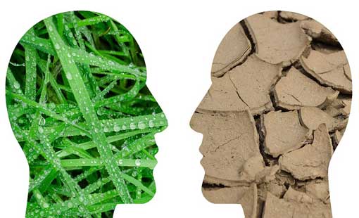 جدل الضرورة والحرّية